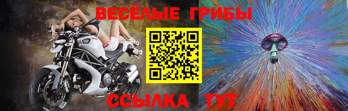 Галлюциногенные грибы Magic Shrooms Черкесск